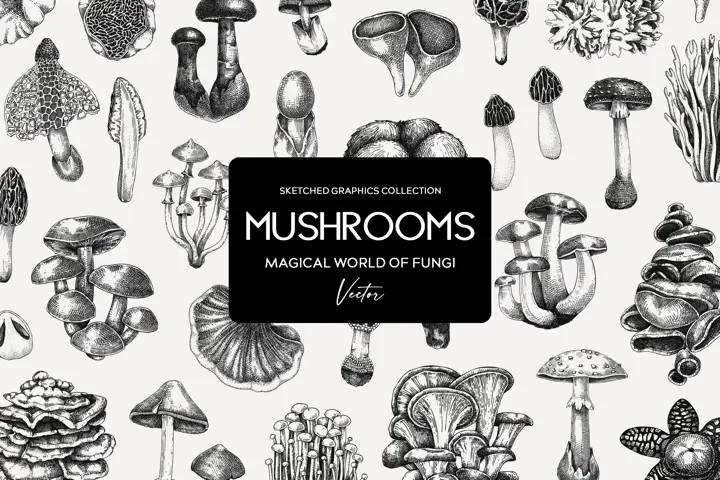 Mushroom Sketches Set. Hand-drawn vector illustrations. Vol.2